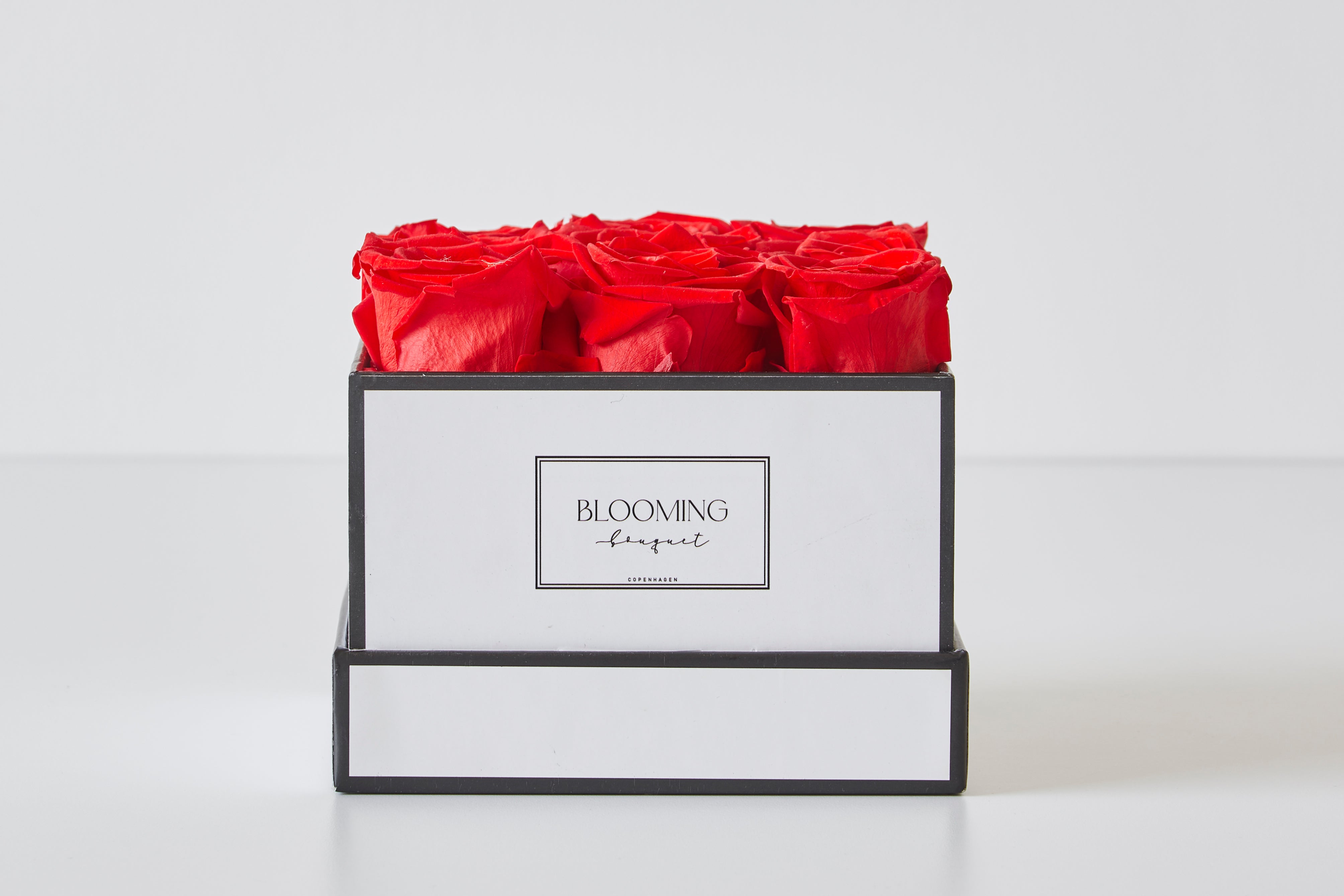 Ruby - White Box - Small