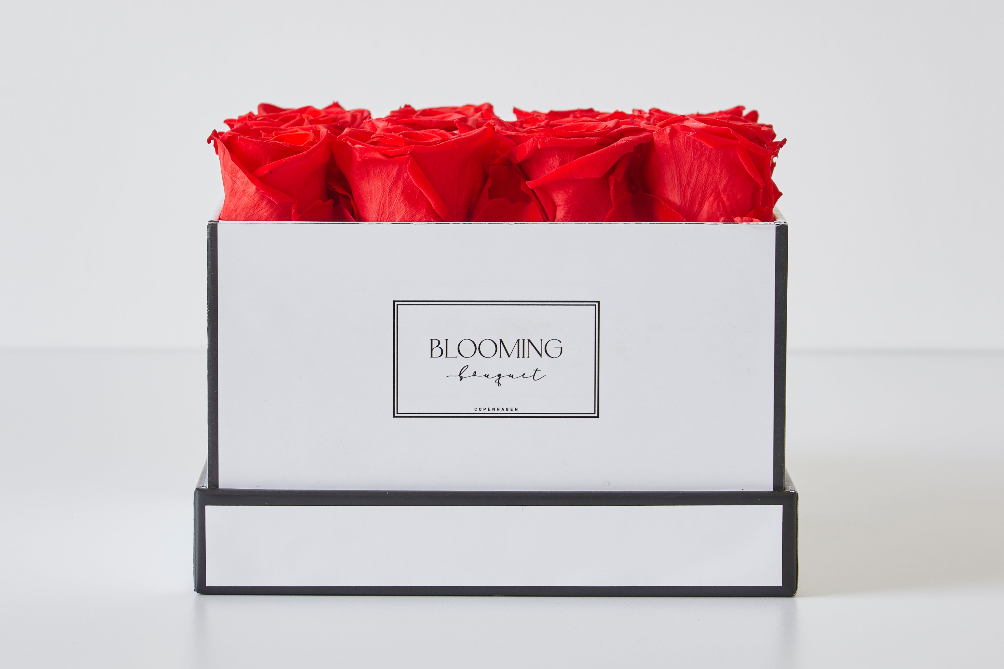 Ruby - White Box - Medium