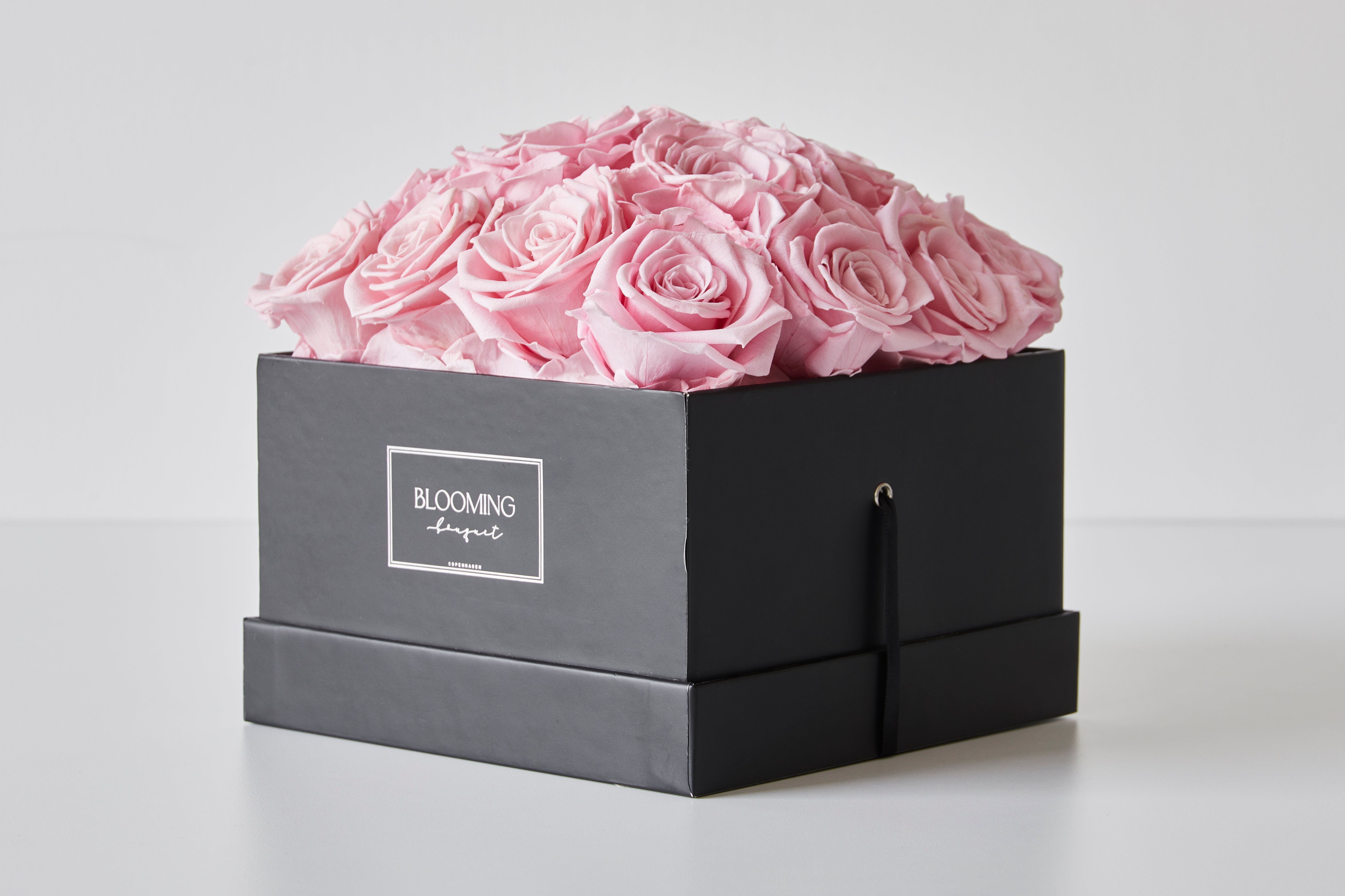 Olivia - Black Box - Medium